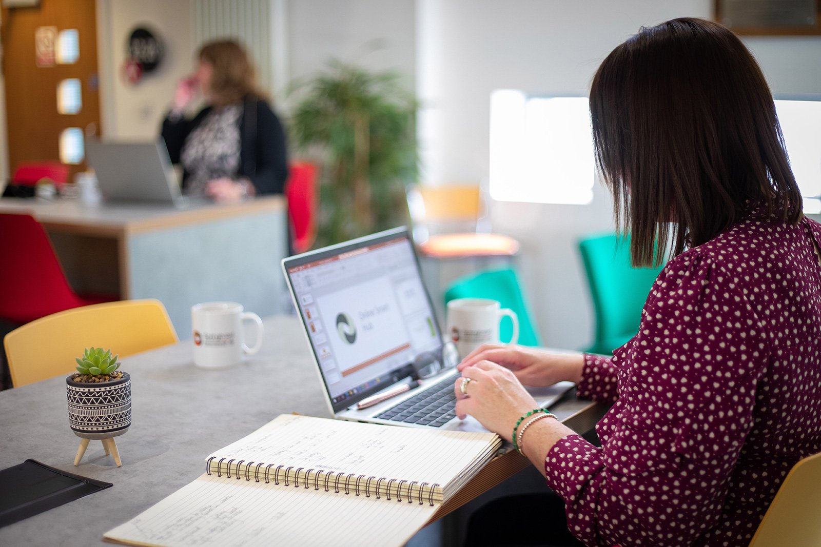 Female working on a laptop in the co-working space at Springboard Business Innovation Centre